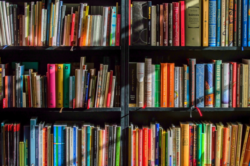 boutique-ROQUEBILLIERE-min_books_bookstore_book_reading_shop_writer_sale_books_read-822866